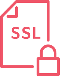 Icon SSL VPN