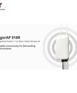 DrayTek VigorAP 918R