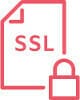 Icon SSL VPN 80 100
